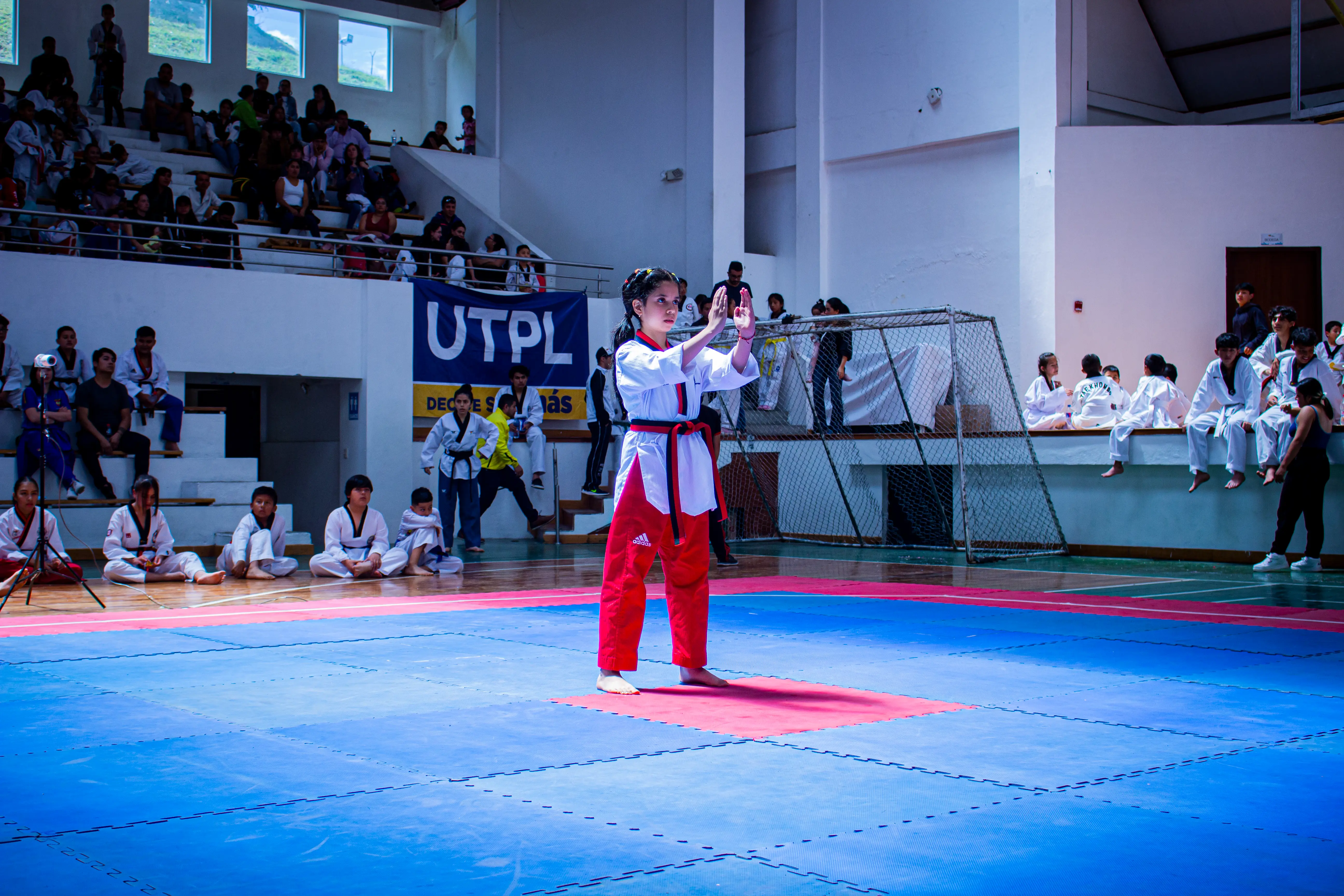 Pounce Taekwondo 2
